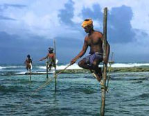 Sri Lanka, Sdasien-Expeditionen: Wolkenmdchen, Hochland und Dschungel - traditionelle Fischer-Methode
